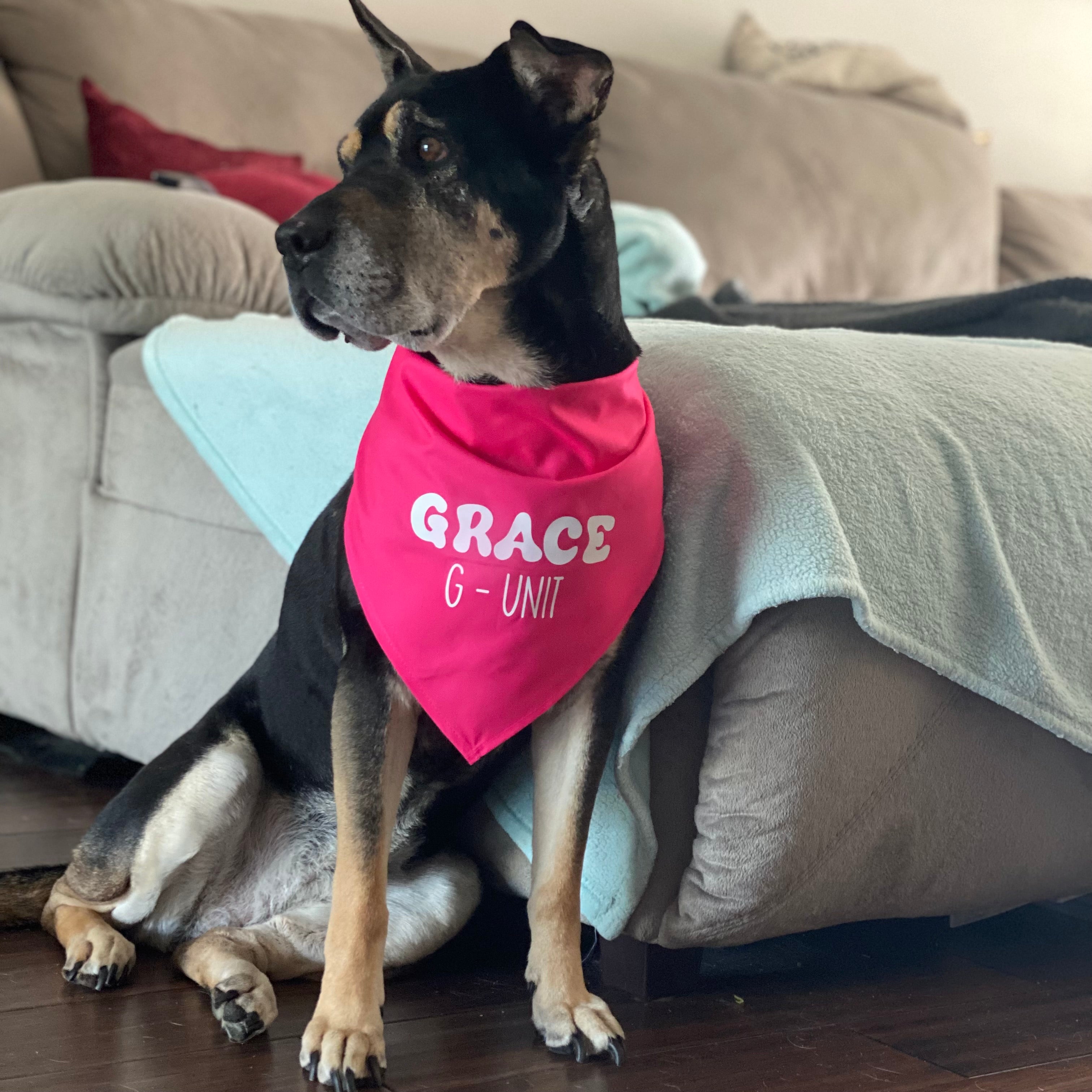 Custom Dog Bandana M-L